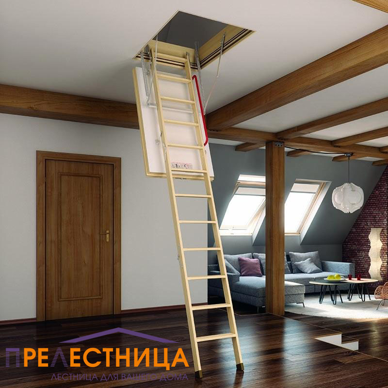 Фото лестницы 1