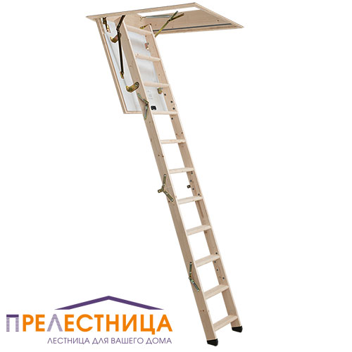 мини фото 1,  PROF 36 MINI, 92,5x70