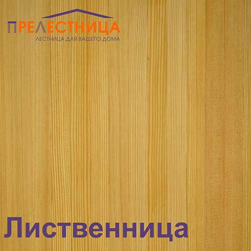 Ступень из лиственницы Ступень из лиственницы
